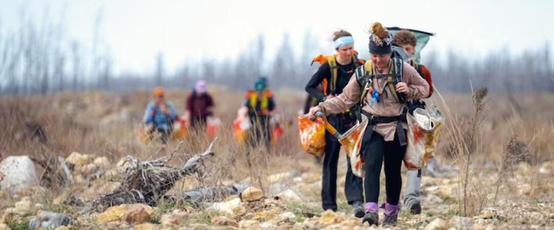 Rising from the Ashes: Manitoba’s Forest Replanting Drive Aims to Heal Land and Climate